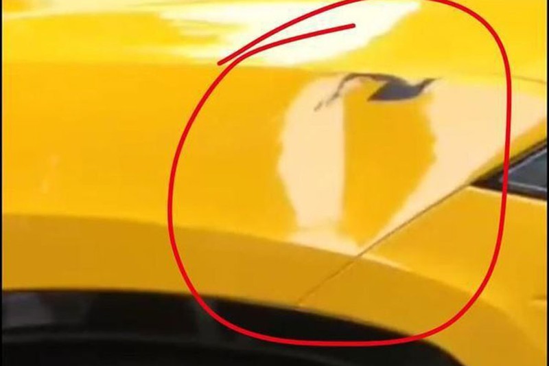 Cú va chạm mạnh đã khiến phần chắn bùn trước bên phải của chiếc siêu xe bị xước sơn và móp méo. 