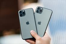 iPhone 11 rớt giá gần 6 triệu sau một ngày về Việt Nam