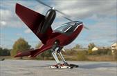 Phractyl Macrobat - Concept xe bay hoạt động giống loài chim