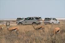 Trải nghiệm Land Rover tại Hà Nội để có cơ hội săn Báo ở Châu Phi.