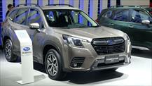 Subaru Forester nhận ưu đãi sâu cuối năm này, giá chỉ từ 869 triệu đồng